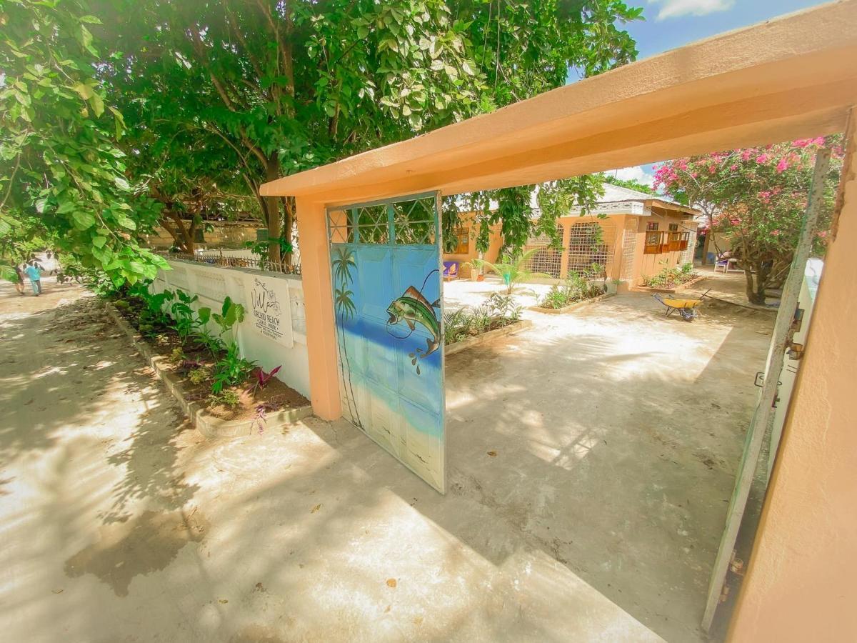 Villa Orchid Beach Guest House Bwejuu Eksteriør billede