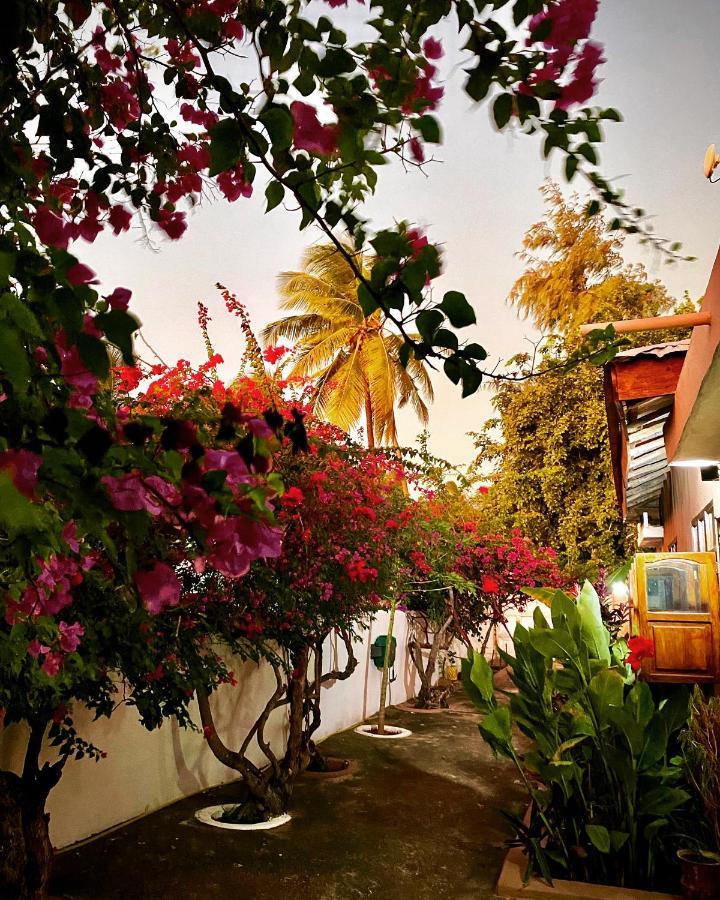 Villa Orchid Beach Guest House Bwejuu Eksteriør billede