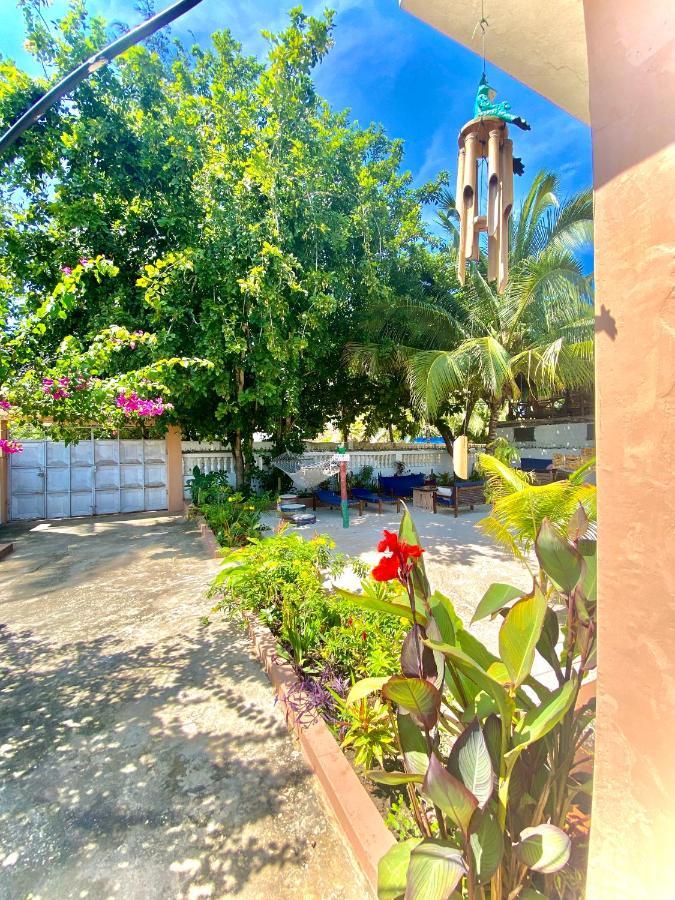 Villa Orchid Beach Guest House Bwejuu Eksteriør billede