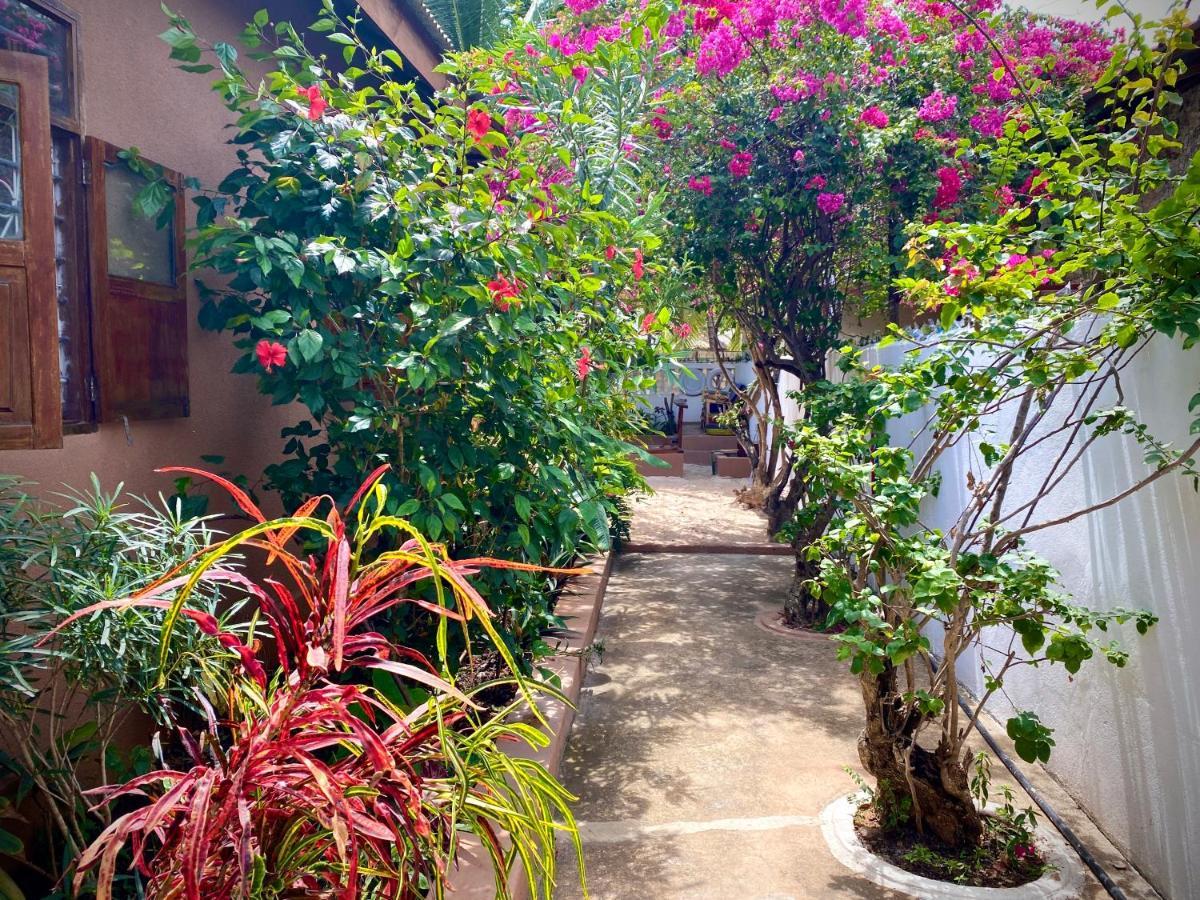 Villa Orchid Beach Guest House Bwejuu Eksteriør billede